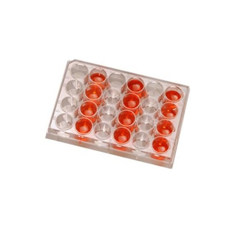 Biologix Usa Cell Culture Plates, 24 Well, 50PK 141374